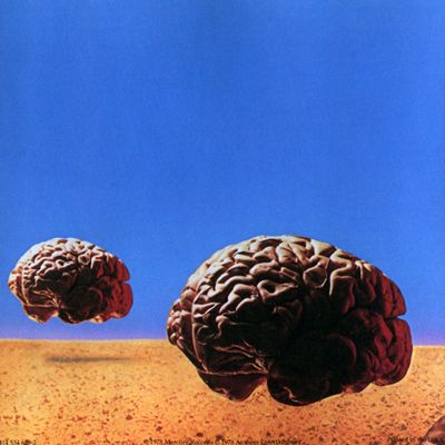 Fitting the flatness