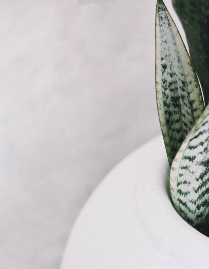 pexels-content-pixie-4103435-scaled-1.jpg